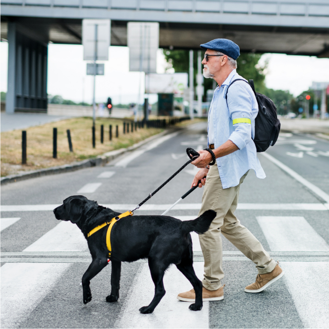 blind man crossing the street, holding his dog on a leash